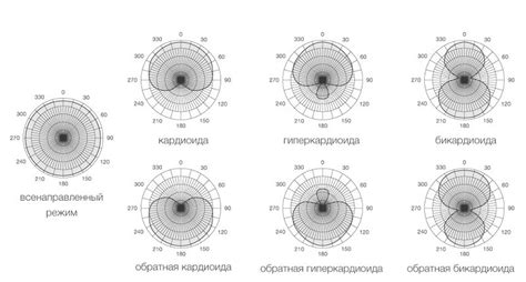 Микрофоны и их виды направленности | Звуковое оборудование в DMS