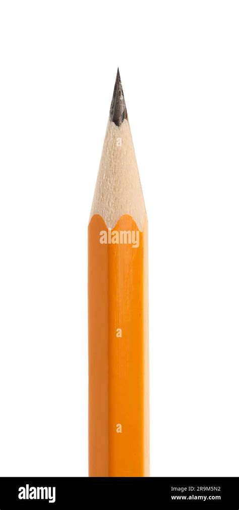 graphite pencil isolated  white closeup school stationery stock