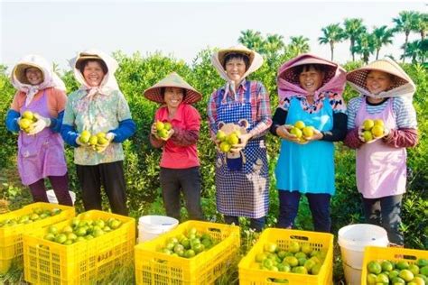 融合产生新气象！乡村产业活起来，带动农民富起来