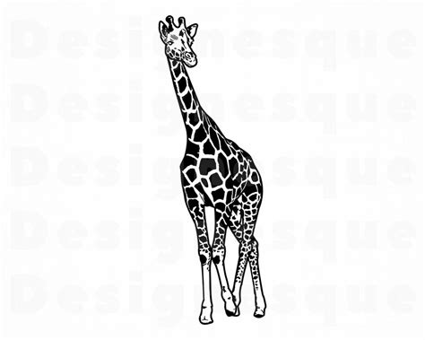 Giraffe SVG Cut Files