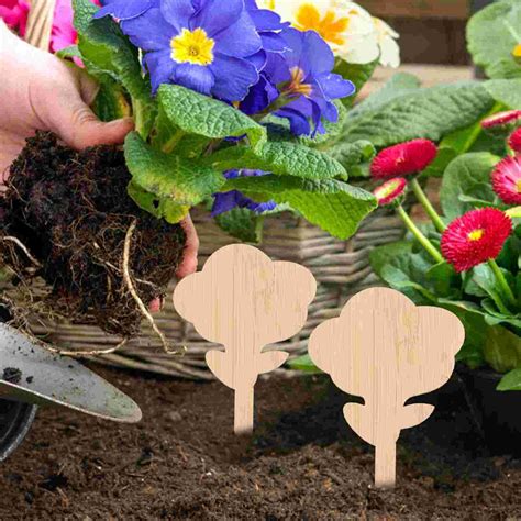 1 Set of Bamboo Plant Labels Flower Bed Inserts Ga... – Vicedeal