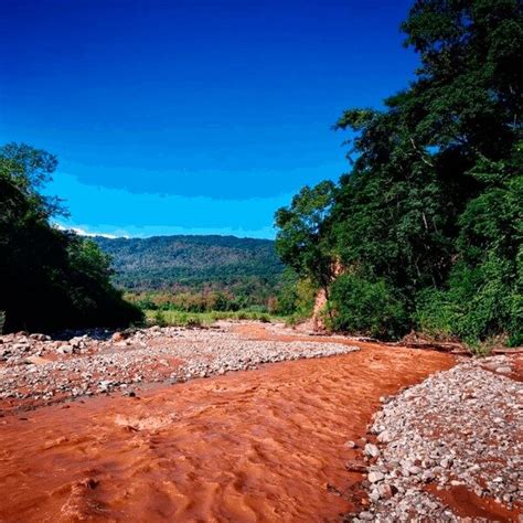 Parque Nacional Calilegua Un Tesoro Ecol Gico Y Cultural En Jujuy