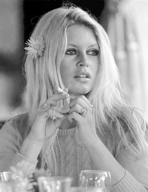 Brigitte Bardot S French Sex Symbol Icon One Of A Kind Large Photo