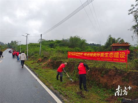 全民参与绿美建设，肇庆怀集蓝钟开展春季义务植树活动蓝钟镇生态南方