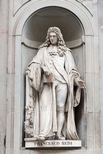 Que Teoria Redi Estava Tentando Derrubar - Francesco Redi Merkmale _ Francesco Redi: A Scientist at the Medici ...
