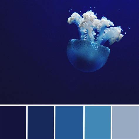 Pink Sea Blue Color Palette Challenge Colour Pallete