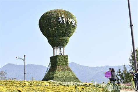 화순 대표축제 국화향연 한산한 개막 첫 날먹거리·즐길거리 없어 네이트 뉴스