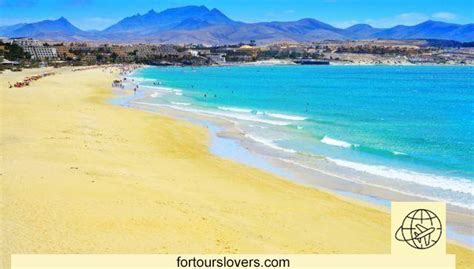 Qué es mejor comprar en Fuerteventura