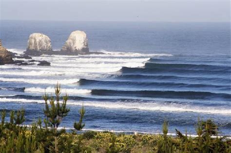 Punta De Lobos Alchetron The Free Social Encyclopedia