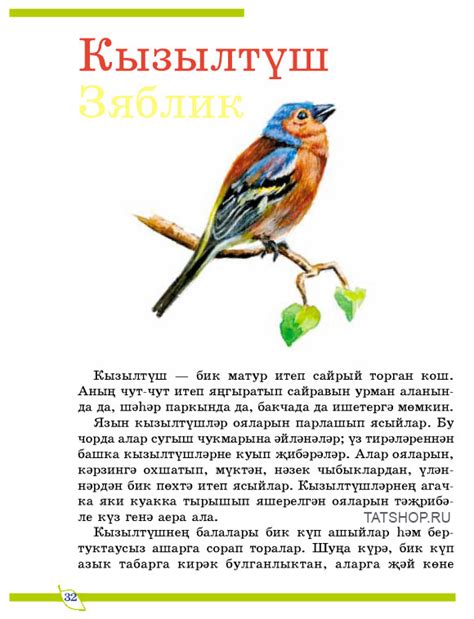 Книга: Татарская книга о птицах, с загадками, стихами, поговорками и ...