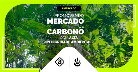 Calculadora de Carbono Compre créditos de carbono online