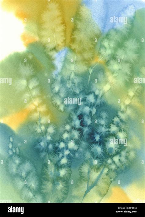 Pussy Willow Twigs Yellow Watercolor Stock Photo Alamy