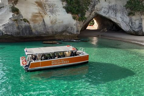 cathedral cove catamaran cruise snorkel caves coastal views