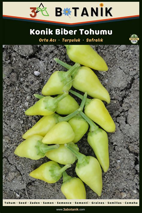 3a Botanİk Konik Biber Tohumu Yerli Ve Sürdürülebilir Tohum 5 Gram