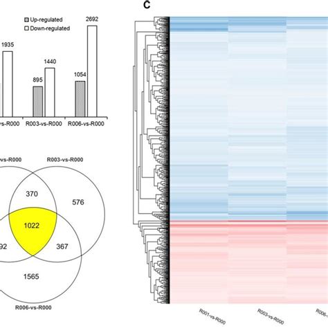 Heatmap showing differentially expressed transcription factor-coding ...