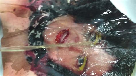 Mariangela La Splendida Porca Free Hd Videos Porn Xhamster