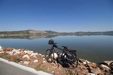 Best Lesbo Images On Pholder Lesbian Actually Pyrocynical And