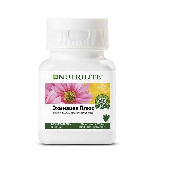 Эхинацея для иммунитета: полезные свойства и как принимать