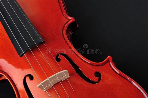 Violin Body Close View Details Stock Photo Image Of View Font 271697736