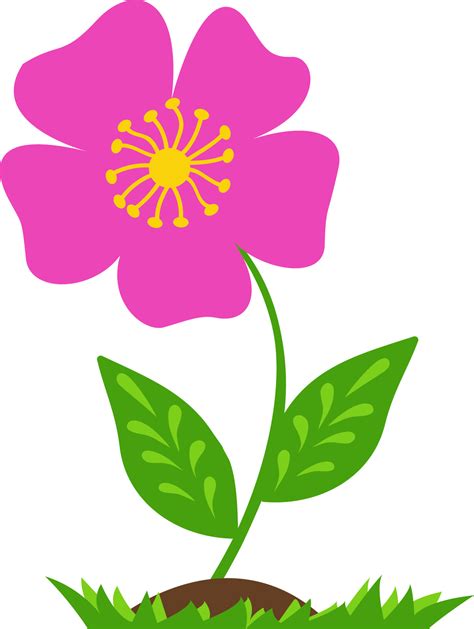 Stylized Pink Flower Highlighted On A White Background Vector Flower