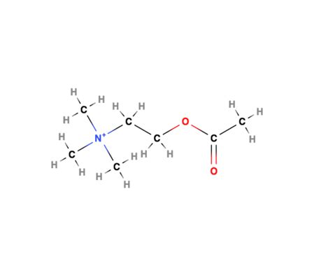 Acetyl Group | Structure & Function - Video & Lesson Transcript | Study.com