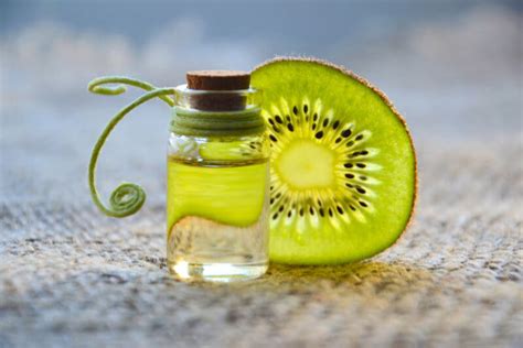 Best Fruity Perfume 2021 - Top 12 Scents | Perfumeer.com