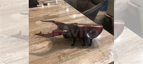 Робот насекомое «Жук-олень» купить в Казани | Личные вещи | Авито