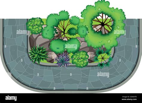 Aeral Stock Vector Images Alamy