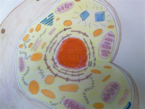 El Tecno Profe Ciencias Naturales 2º Eso La Célula