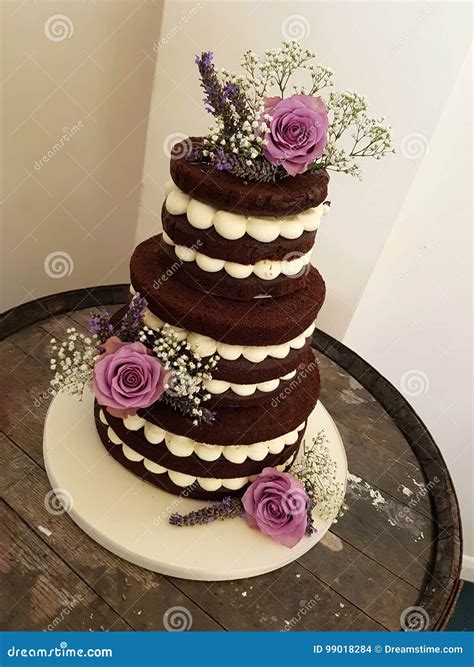 Tier Chocolate Naked Cake With Fresh Flowers Stock Photography CartoonDealer