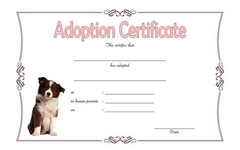 Dog Adoption Certificate Free Printable 2nd Design In Microsoft Word