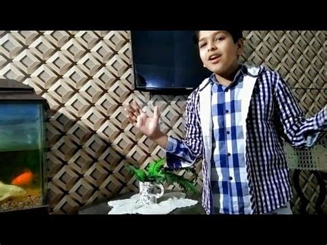 Aj Hum Gay Khala Kay Ghar Shaheer Bhai Vlogs Vlog42 YouTube
