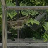 Prekrvti Prekrvti Nude Onlyfans Leaks Fappening Fappeningbook