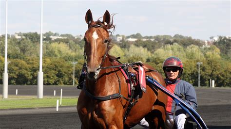 Pronostic Quinté PMU du samedi 10 12 2022