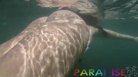 Hot Girl Swimming NUDE Underwater In A Tropical Paradise FAPCAT