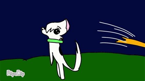 Коты-воители стань диким - YouTube