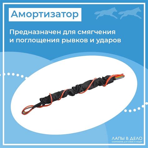 Собачья упряжка и из чего она состоит