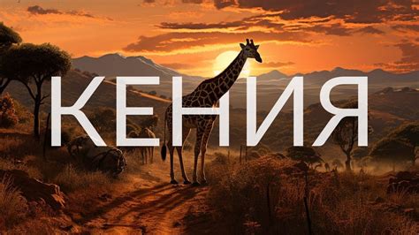 КЕНИЯ - ЛУЧШЕЕ САФАРИ В АФРИКЕ. БОЛЬШАЯ МИГРАЦИЯ - ЭТО ШОК - YouTube