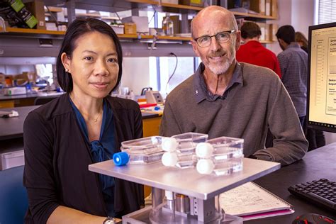 stony brook researchers working  expedite cancer care stony brook