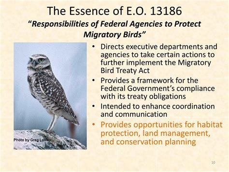 PPT - Migratory Bird Treaty Act Bald & Golden Eagle Protection Act EO