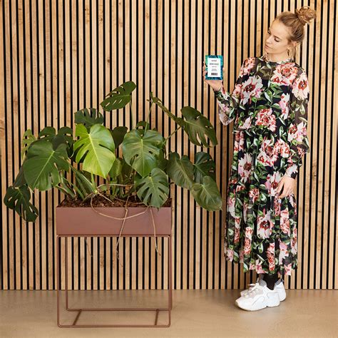 Verdensnyhed Gro Din Egen Dildo