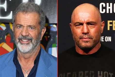 Mel Gibson Tells Joe Rogan Ivermectin Cured Stage Four Cancer Newsweek