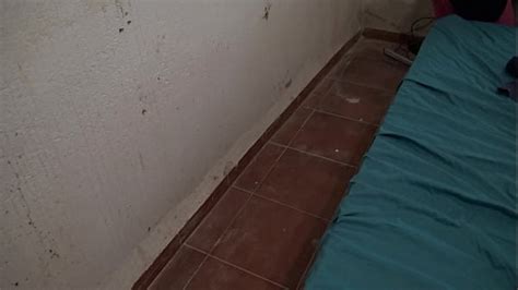 Turkish Amateur Search XNXX