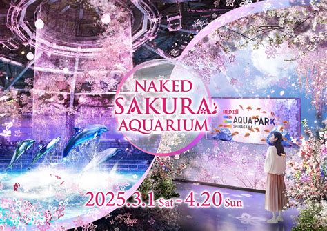 NAKED SAKURA AQUARIUM