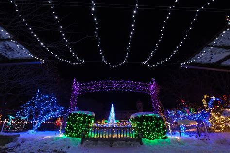 Swita Winter Garden Aglow