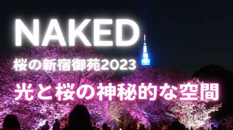 K HDR光と桜の融合NAKEDが織りなす神秘的な夜桜 NAKED桜の新宿御苑 Shinjuku Gyoen woven by NAKED YouTube