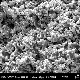 Sem Images Of The Specimens Sintered At A C B C C Under