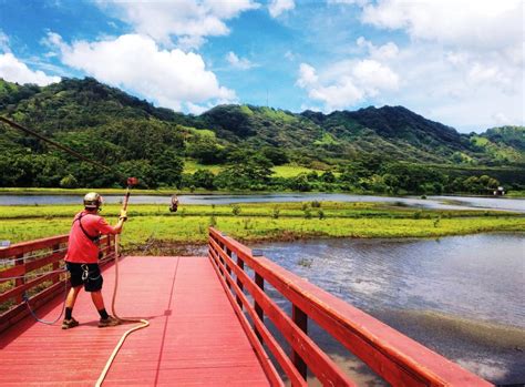 Koloa Zipline | Go Hawaii