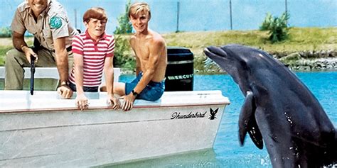 Flipper Era Gay Poca Sociedade