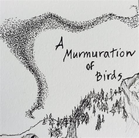 A MURMURATION OF BIRDS - DRAWING FROM THE DAY